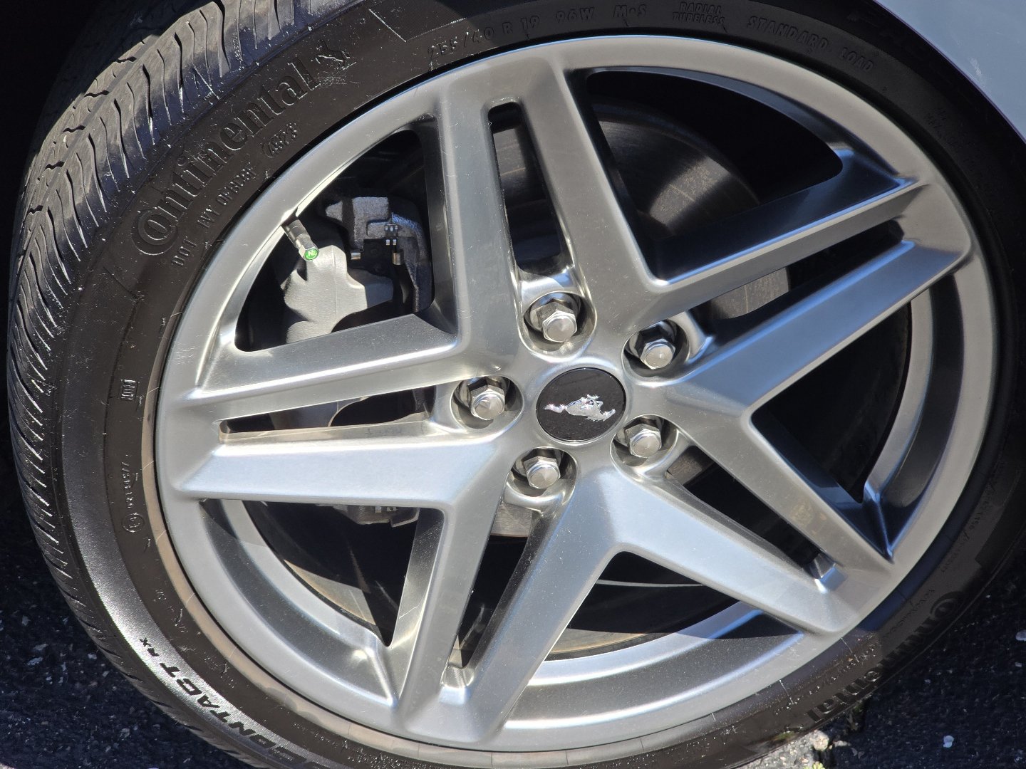 Used 2024 Ford Mustang Coupe RWD image 13