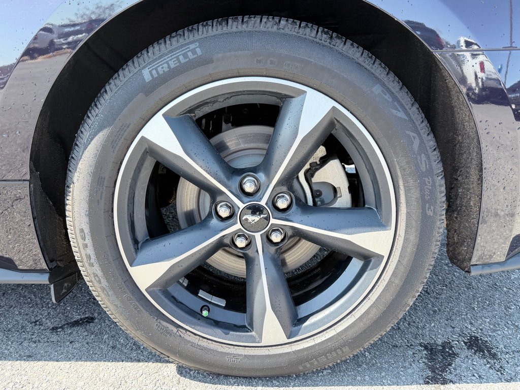 Used 2023 Ford Mustang EcoBoost w/ Equipment Group 101A image 30