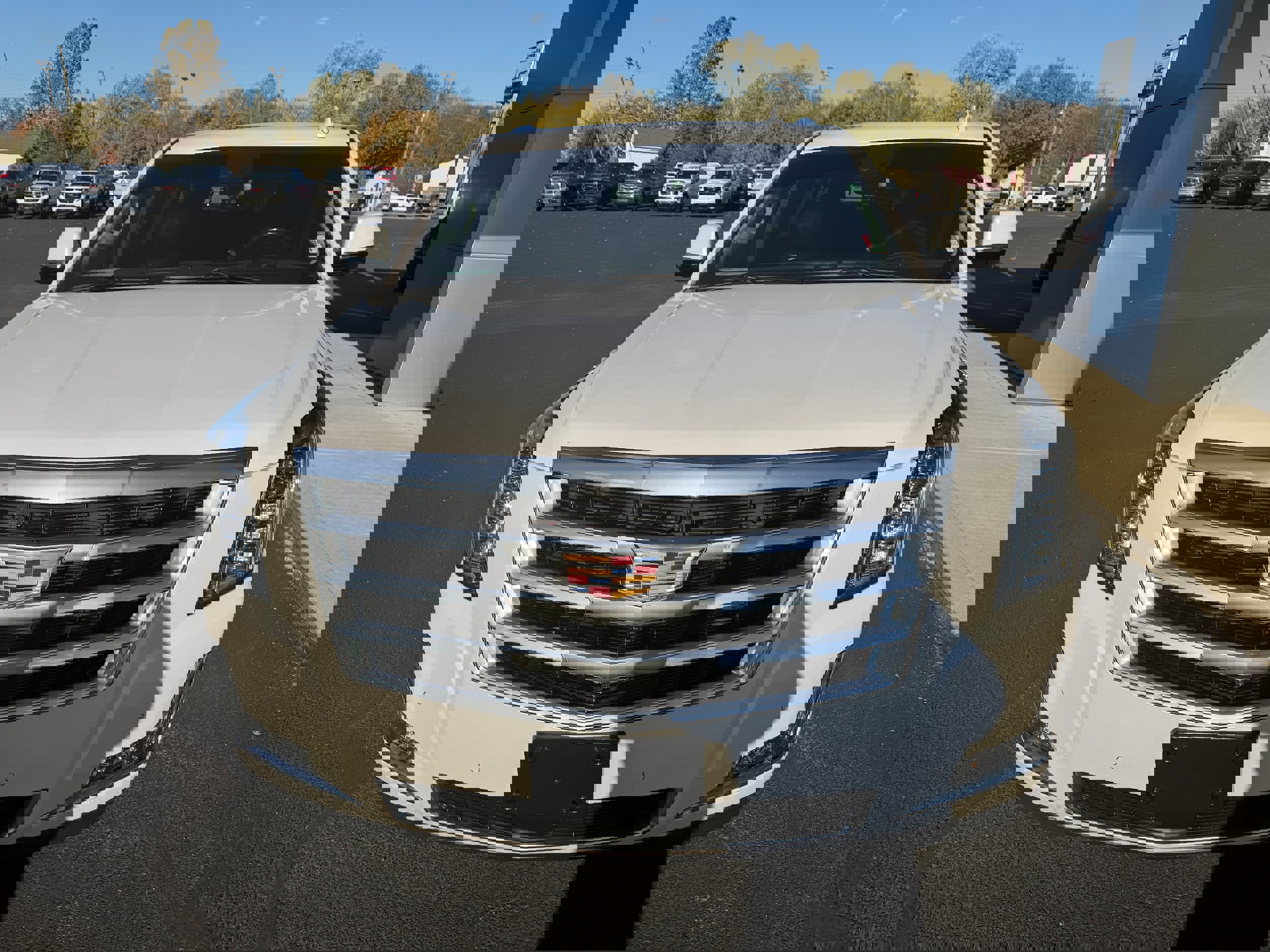 Used 2019 Cadillac Escalade ESV Premium Luxury image 13