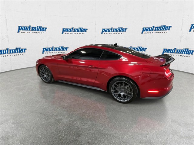 Used 2023 Ford Mustang Coupe w/ Equipment Group 101A image 7