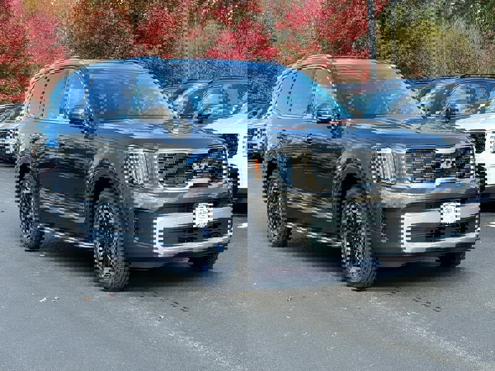 New 2025 Kia Telluride S