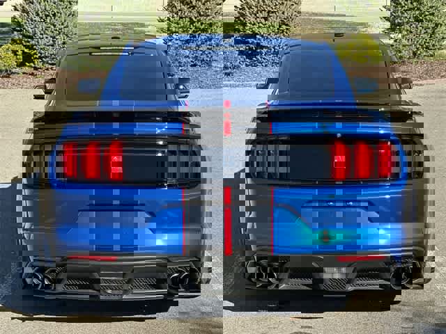 Used 2017 Ford Mustang Shelby GT350 image 4