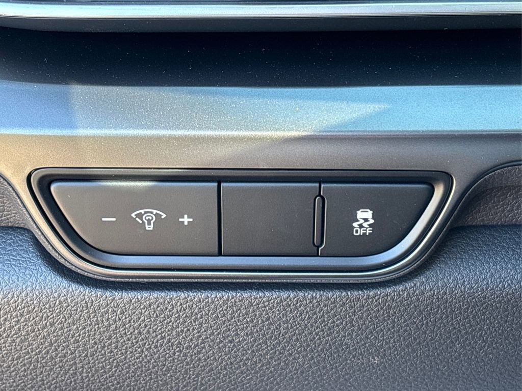 New 2025 Kia Carnival SX Prestige FWD image 31