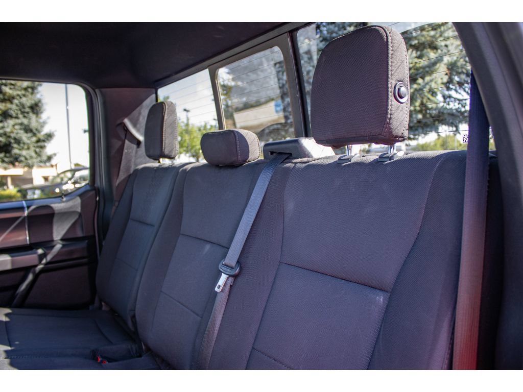 Used 2019 Ford F150 XLT w/ Equipment Group 302A Luxury AWD/4WD image 20
