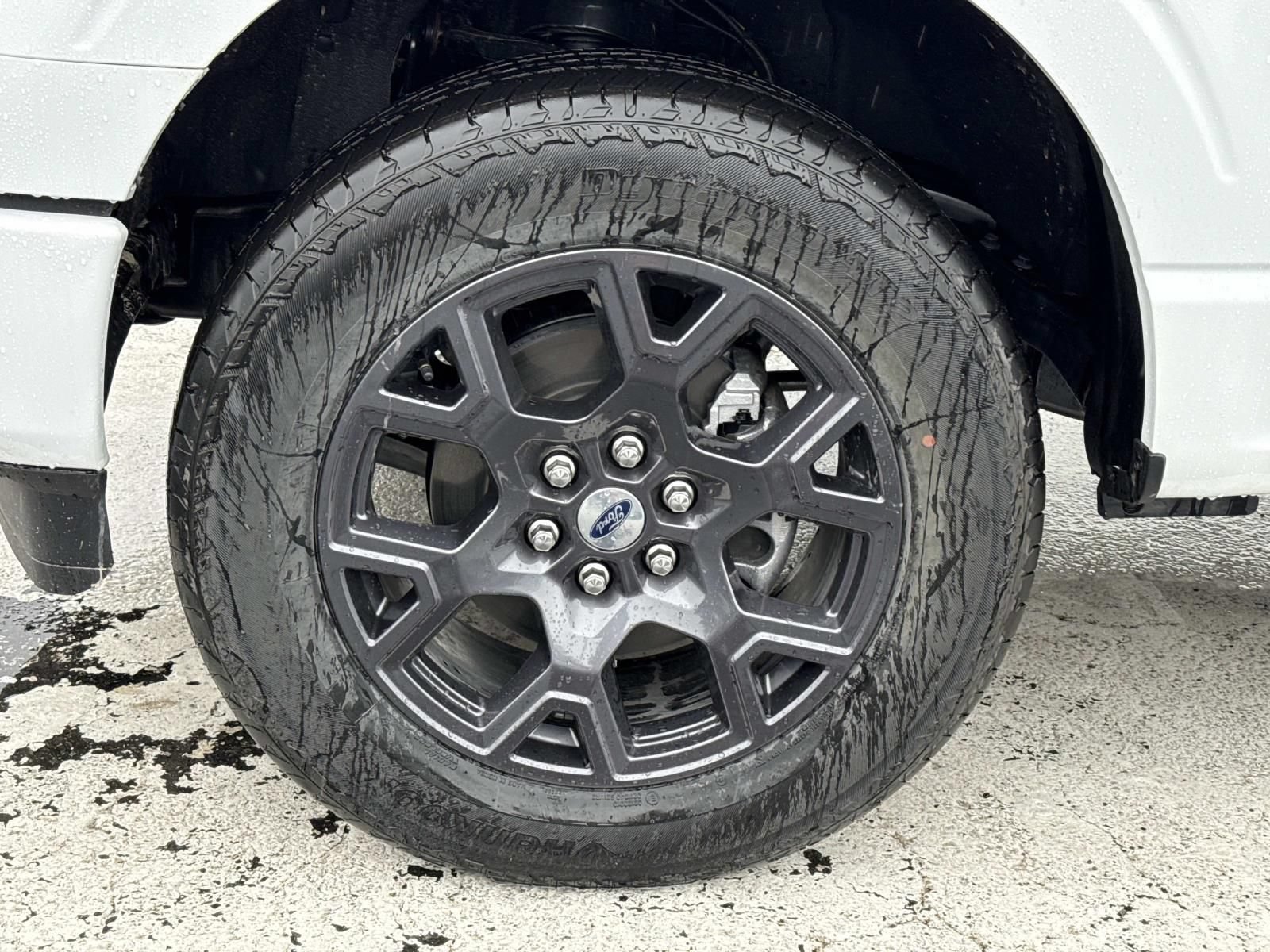 New 2026 Ford F150 STX w/ Equipment Group 200A AWD/4WD image 6