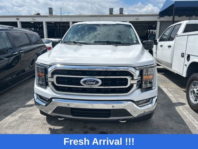 Used 2021 Ford F150 XLT w/ Equipment Group 302A High AWD/4WD image 4