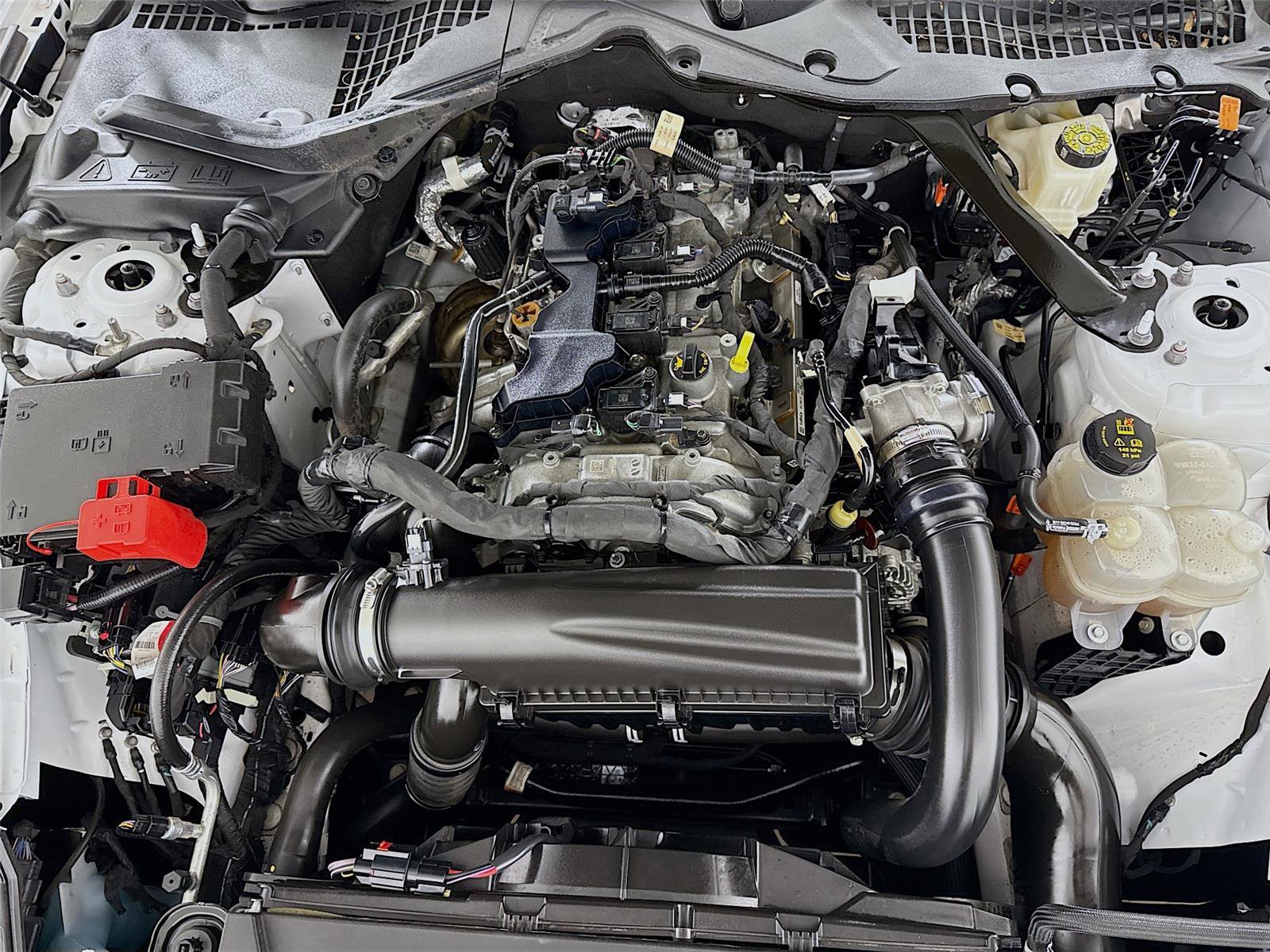 Used 2024 Ford Mustang Premium image 27