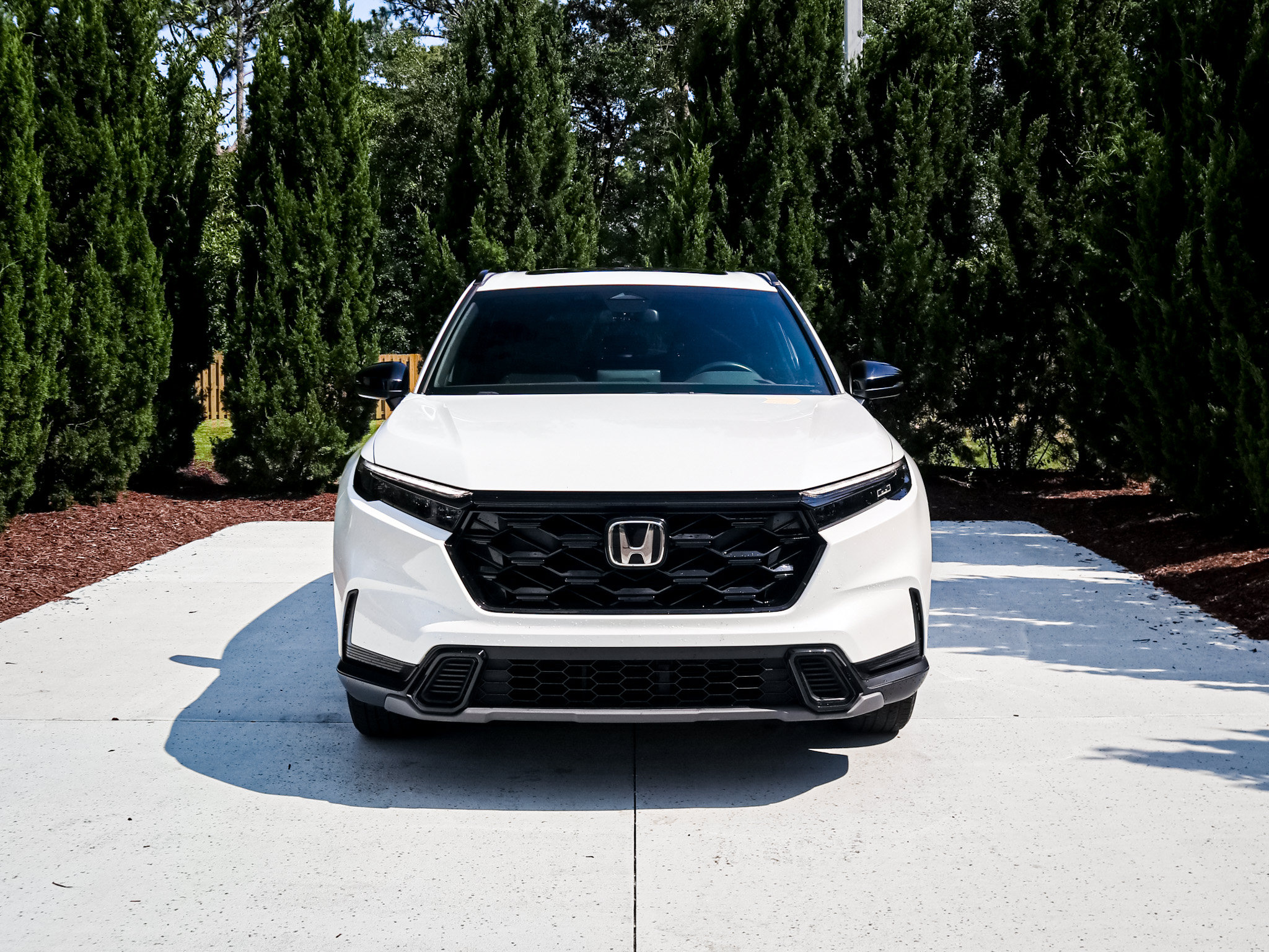 Used 2024 Honda CR-V Sport image 3