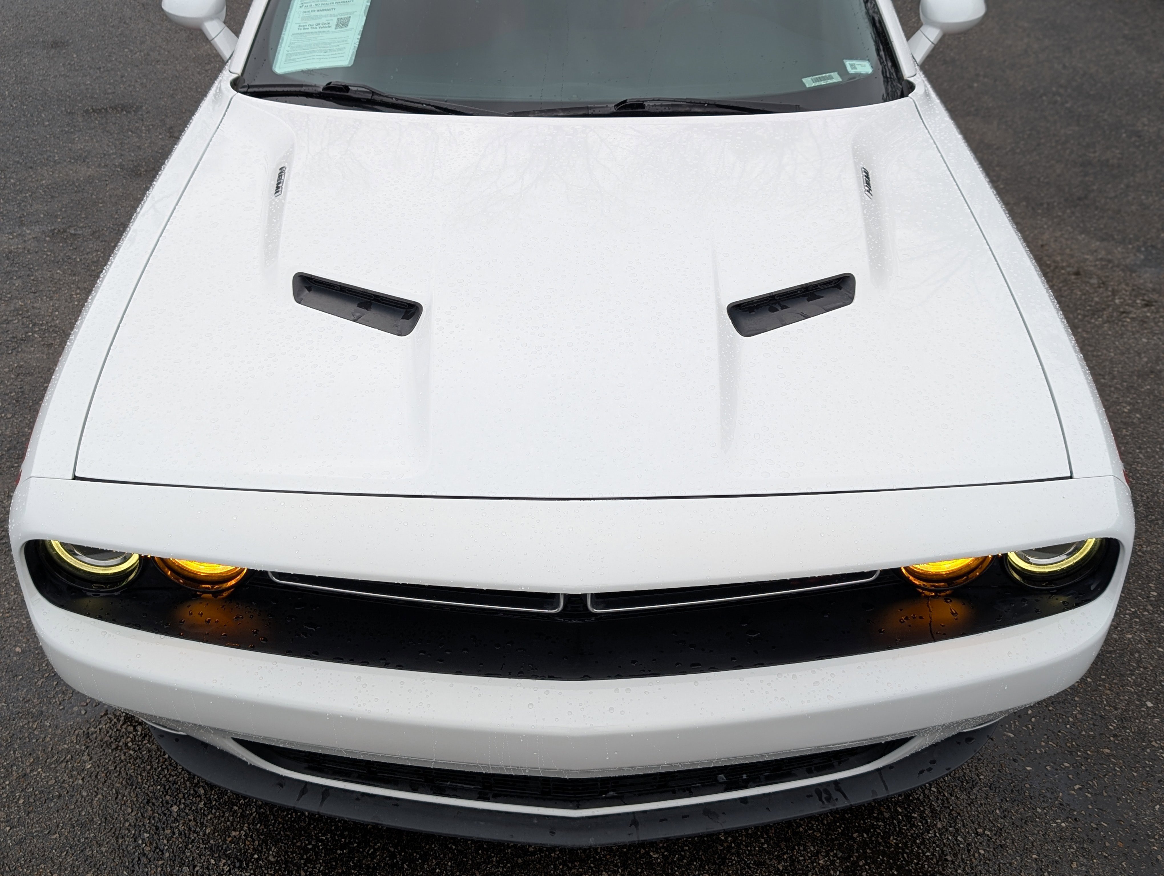 Used 2015 Dodge Challenger R/T Plus image 12