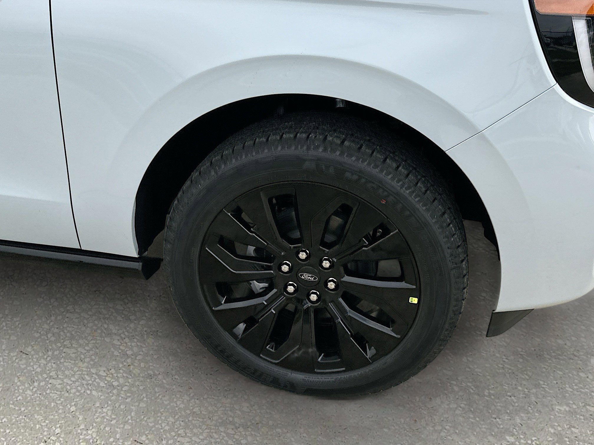 New 2025 Ford Expedition Platinum w/ Stealth Appearance Package image 20