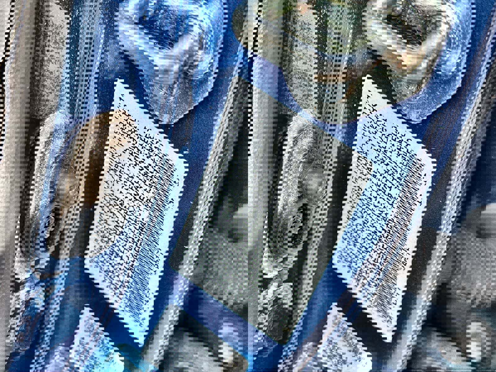 Used 2014 Honda Civic LX image 21