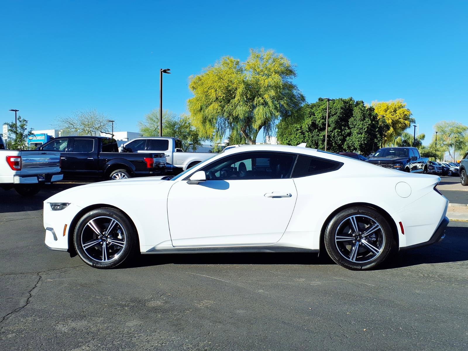 Used 2025 Ford Mustang Coupe image 3