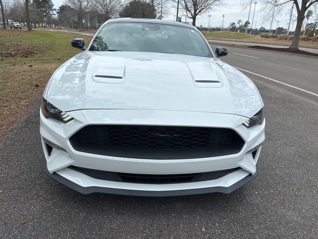 Used 2022 Ford Mustang Coupe w/ Equipment Group 101A image 8