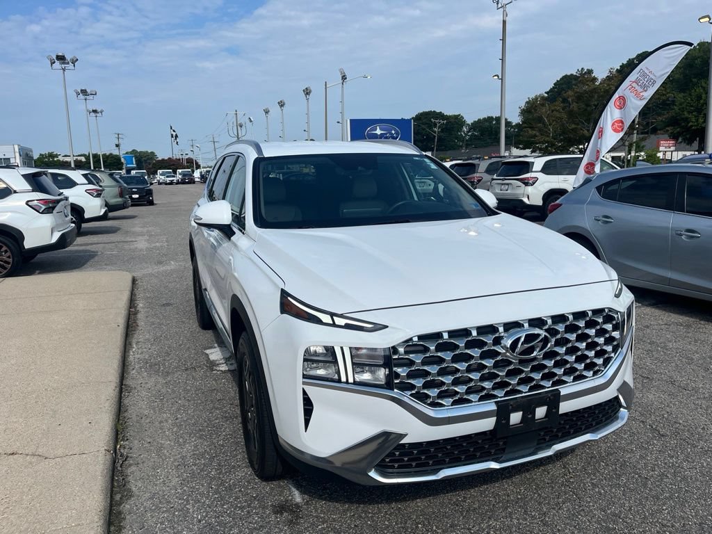 Used 2023 Hyundai Santa Fe Blue AWD/4WD image 2