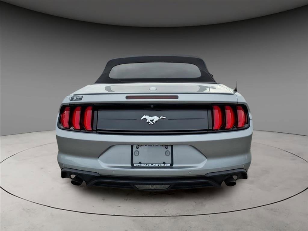 Used 2021 Ford Mustang Premium w/ Equipment Group 201A image 7