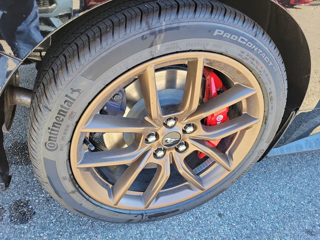 New 2026 Ford Mustang GT Premium image 6