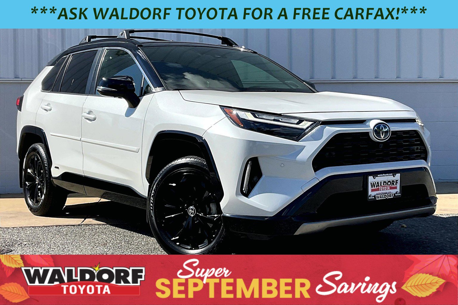 Used 2024 Toyota RAV4 XSE