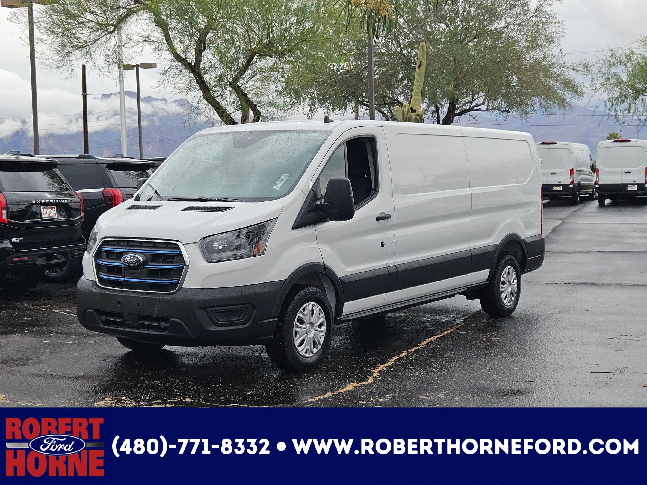 New 2025 Ford E-Transit Low Roof w/ Load Area Protection Package