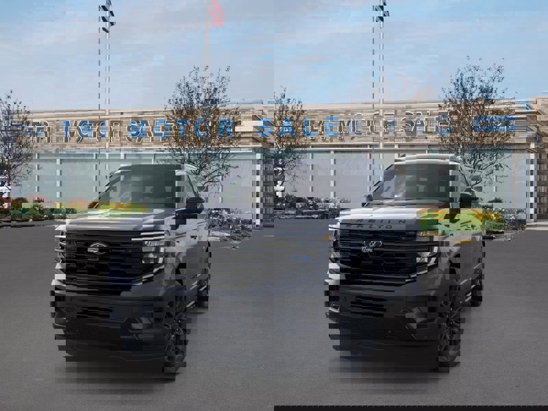 New 2026 Ford Expedition Max Platinum w/ Stealth Appearance Package image 2