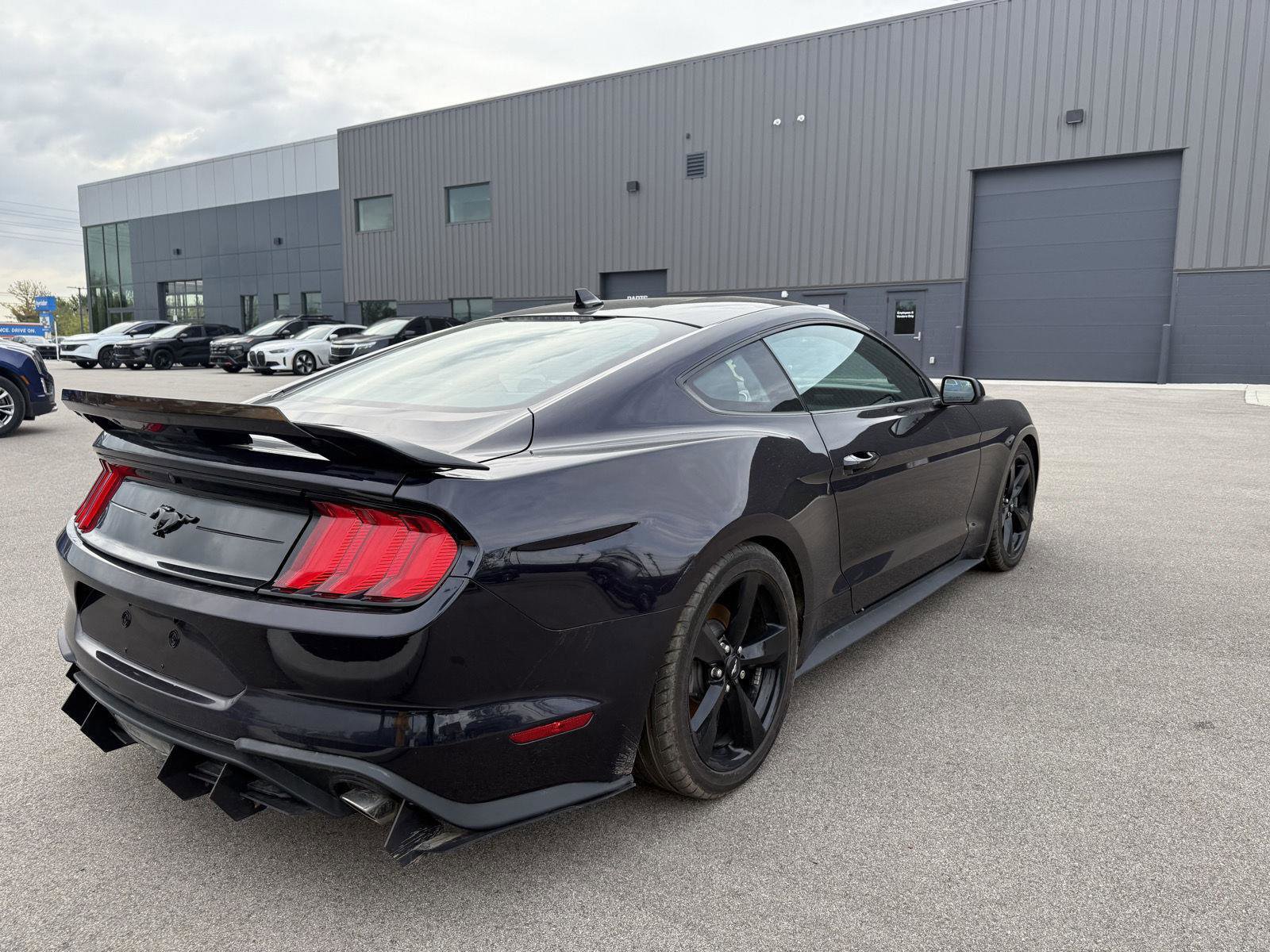 Used 2023 Ford Mustang Coupe w/ Mustang Nite Pony Package RWD image 3