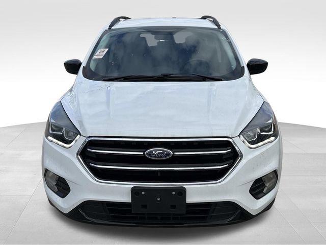 Used 2017 Ford Escape SE w/ SE Sport Appearance Package image 2