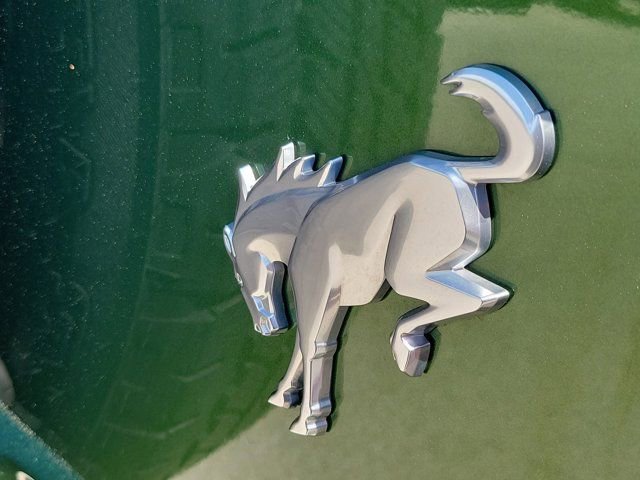 Certified 2022 Ford Bronco Outer Banks image 11