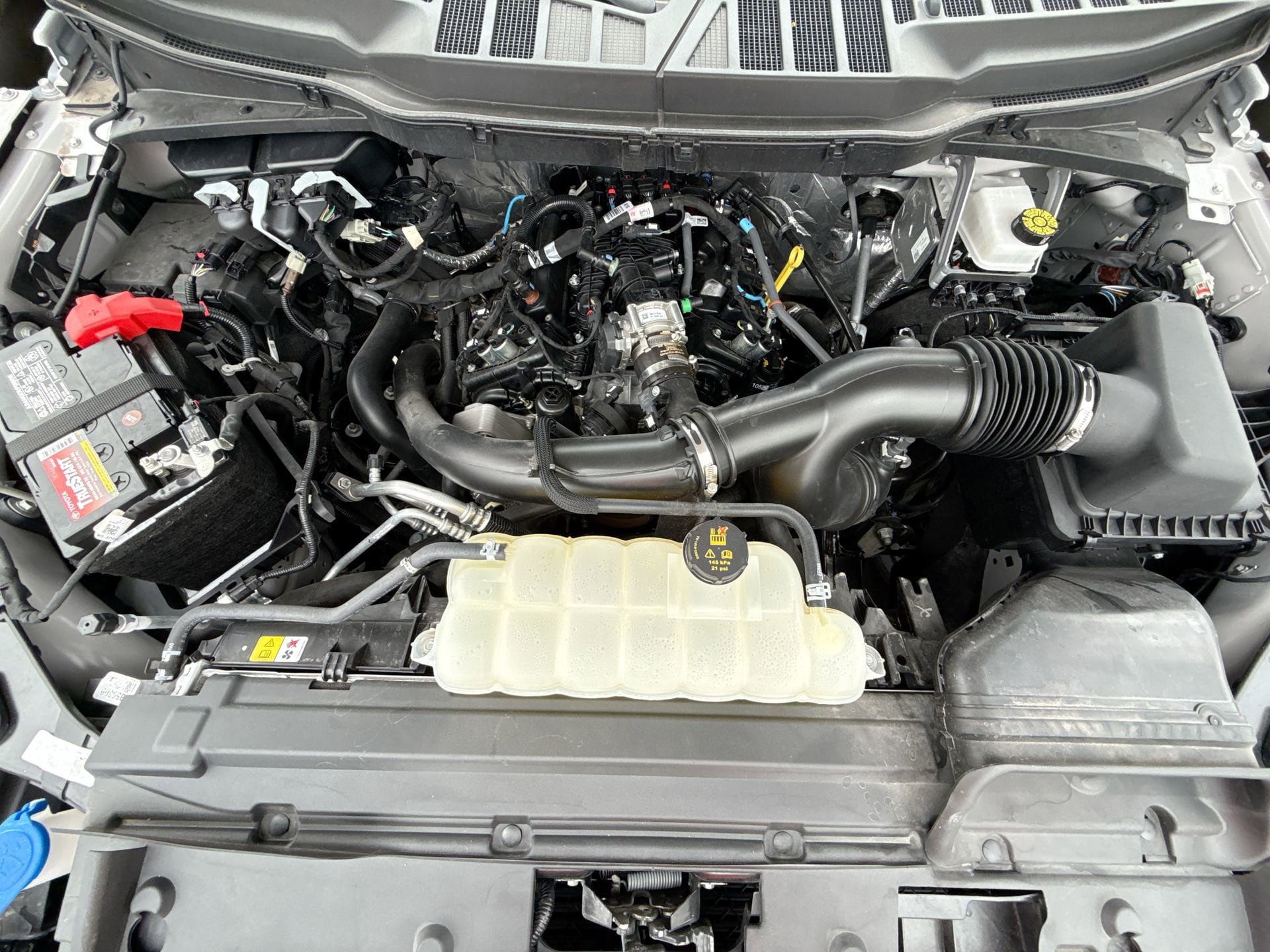 Used 2025 Ford F150 STX w/ Equipment Group 200A RWD image 17