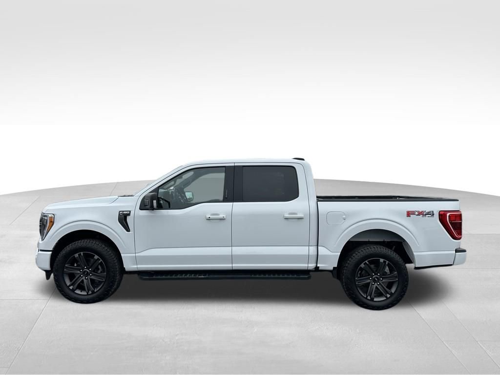Used 2023 Ford F150 XLT w/ Equipment Group 302A High image 8