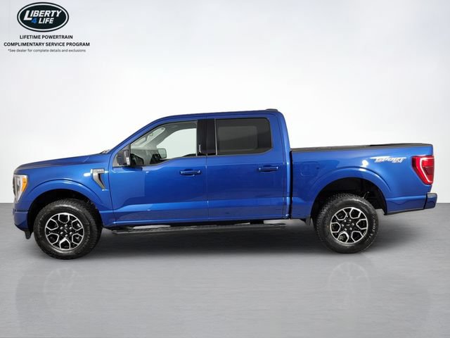 Used 2023 Ford F150 XLT w/ Equipment Group 302A High AWD/4WD image 7