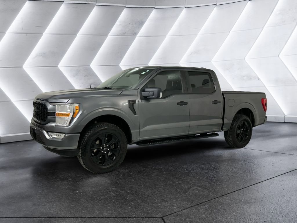 Used 2022 Ford F150 XL w/ STX Black Appearance Package RWD image 3