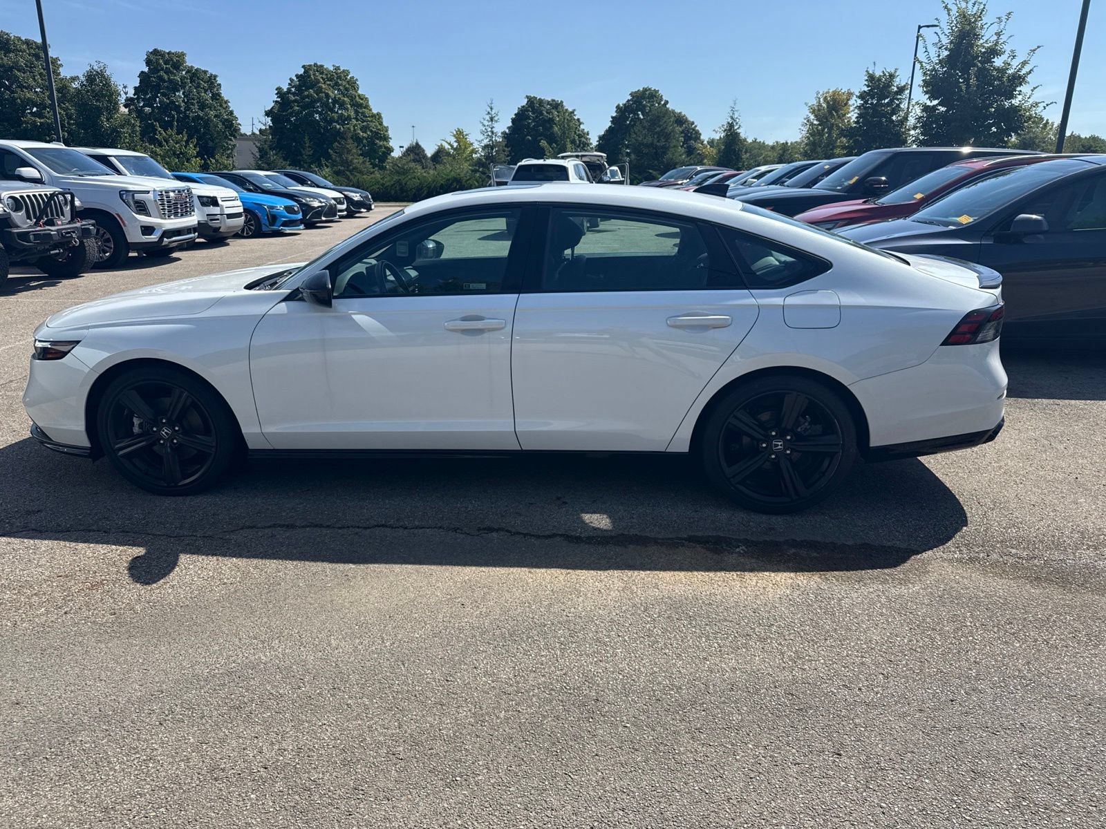 Used 2024 Honda Accord Sport image 8
