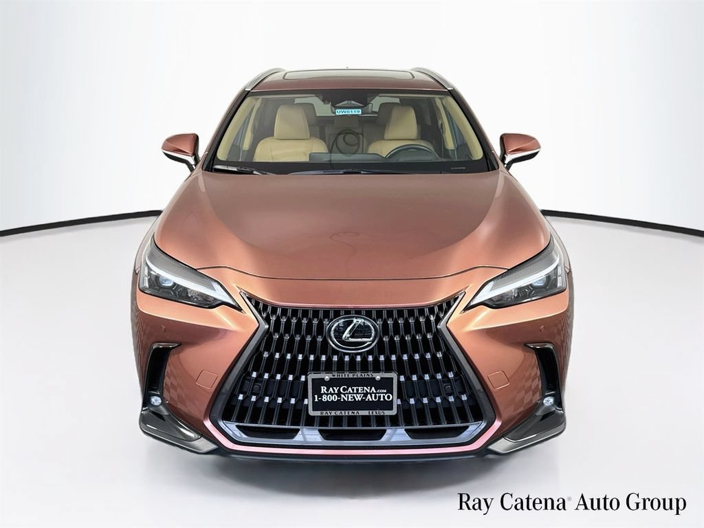 Certified 2026 Lexus NX 350 AWD w/ Cold Area Package image 2