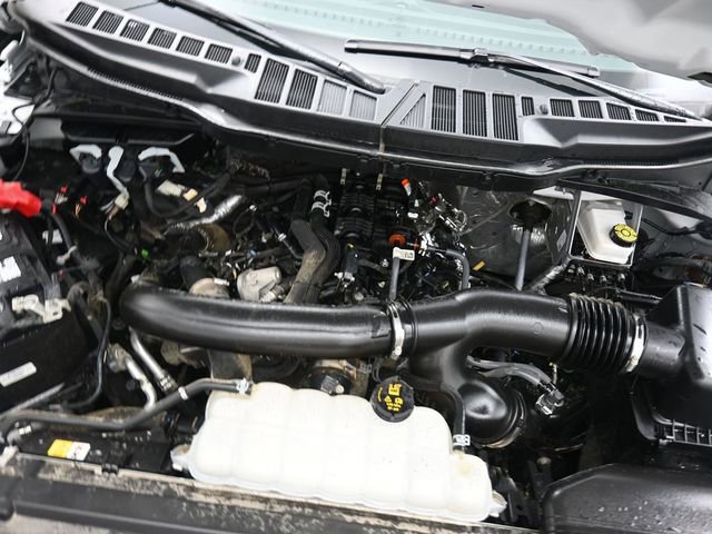 Used 2025 Ford F150 XLT w/ Equipment Group 301A Standard image 29