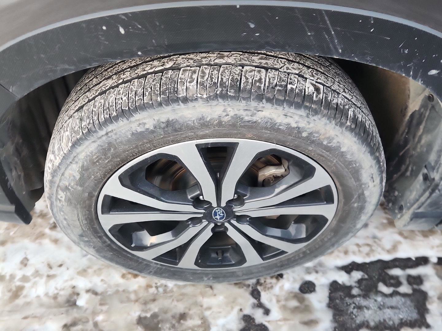 Used 2024 Subaru Forester Limited image 8