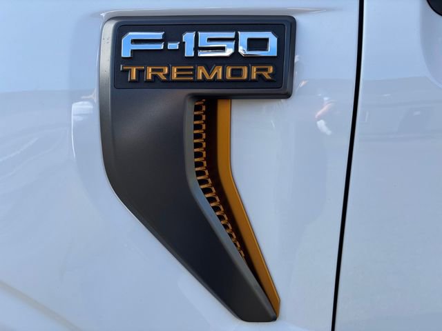 Used 2023 Ford F150 Tremor AWD/4WD image 28