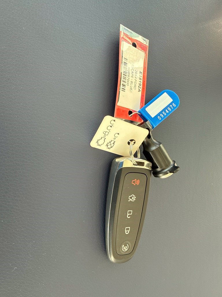 Used 2019 Ford Escape Titanium FWD image 4