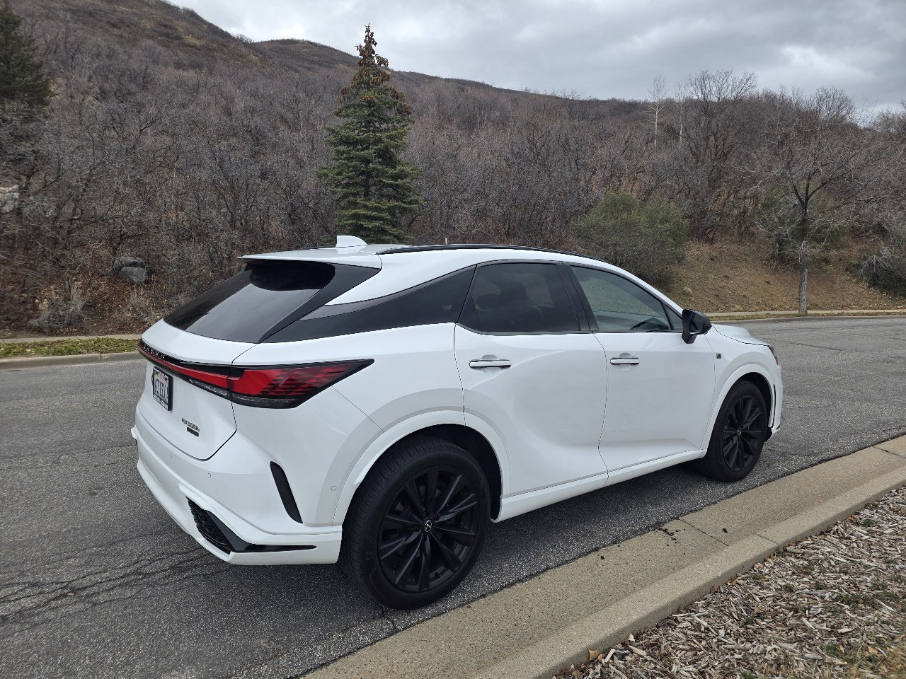 Used 2023 Lexus RX 500h F Sport w/ Cold Area Package image 6