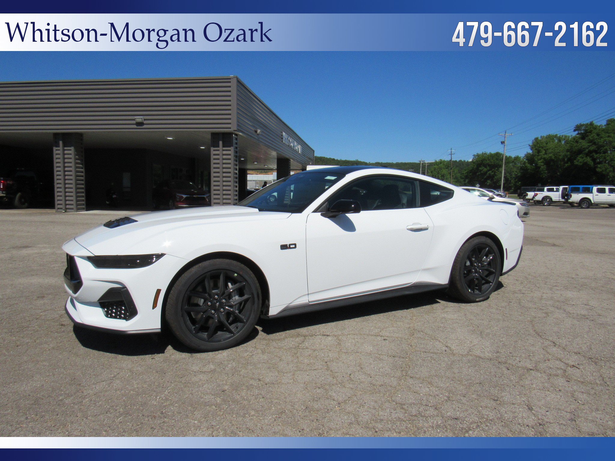 New 2026 Ford Mustang GT w/ Mustang Nite Pony Package RWD image 8