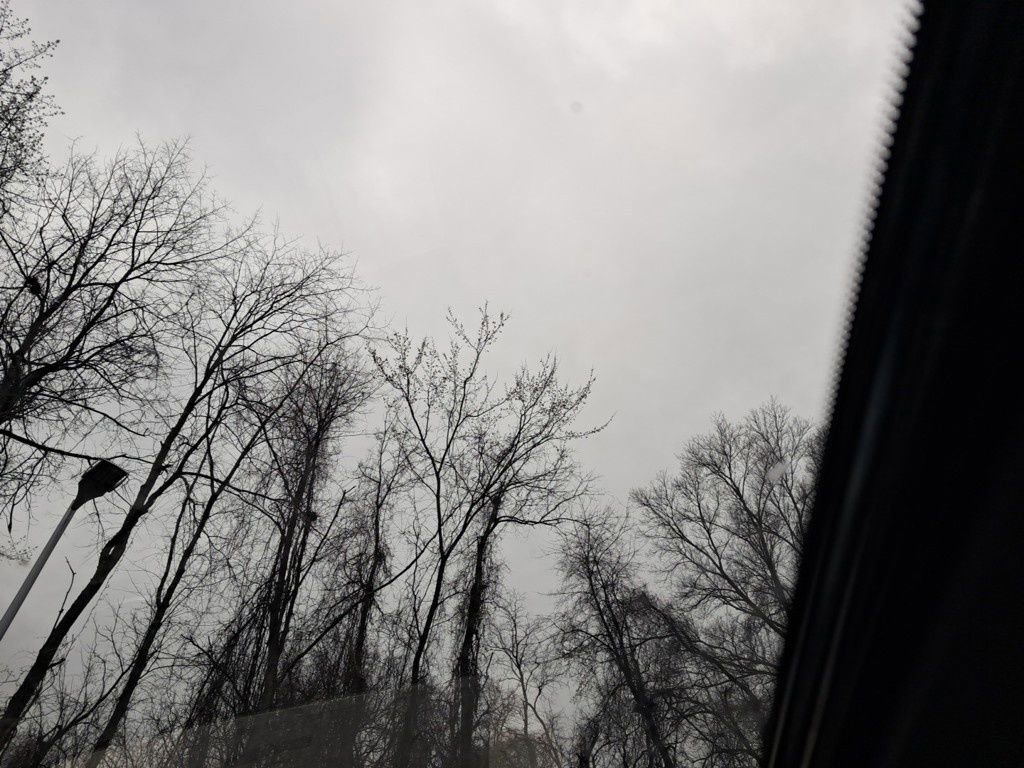 New 2025 Nissan Murano SL image 22