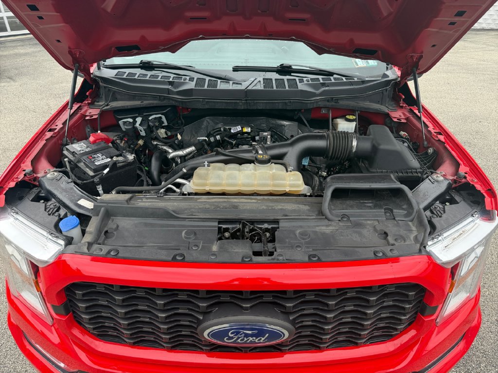 Used 2022 Ford F150 XL w/ STX Appearance Package AWD/4WD image 27