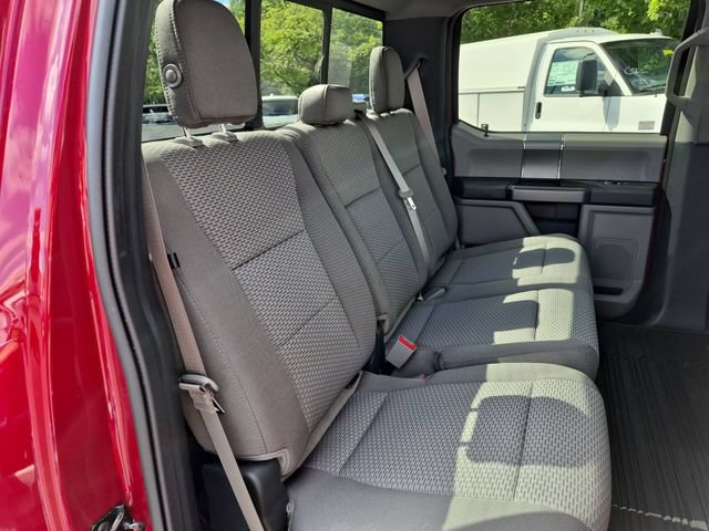Used 2019 Ford F150 XLT w/ Equipment Group 302A Luxury AWD/4WD image 29