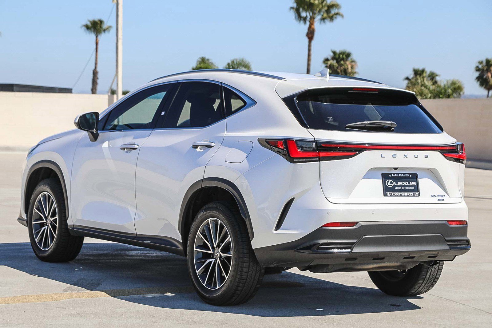 Used 2024 Lexus NX 350 AWD w/ Cold Area Package image 5