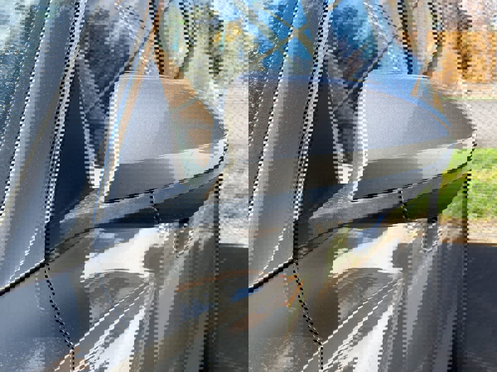 Used 2025 Hyundai Tucson Blue image 7