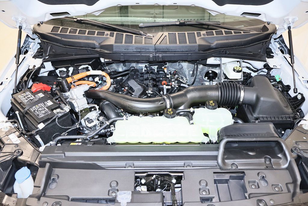 New 2025 Ford F150 XLT w/ Equipment Group 302A MID image 32