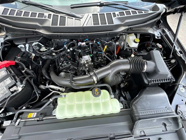 New 2025 Ford F150 XLT w/ Equipment Group 302A MID image 10
