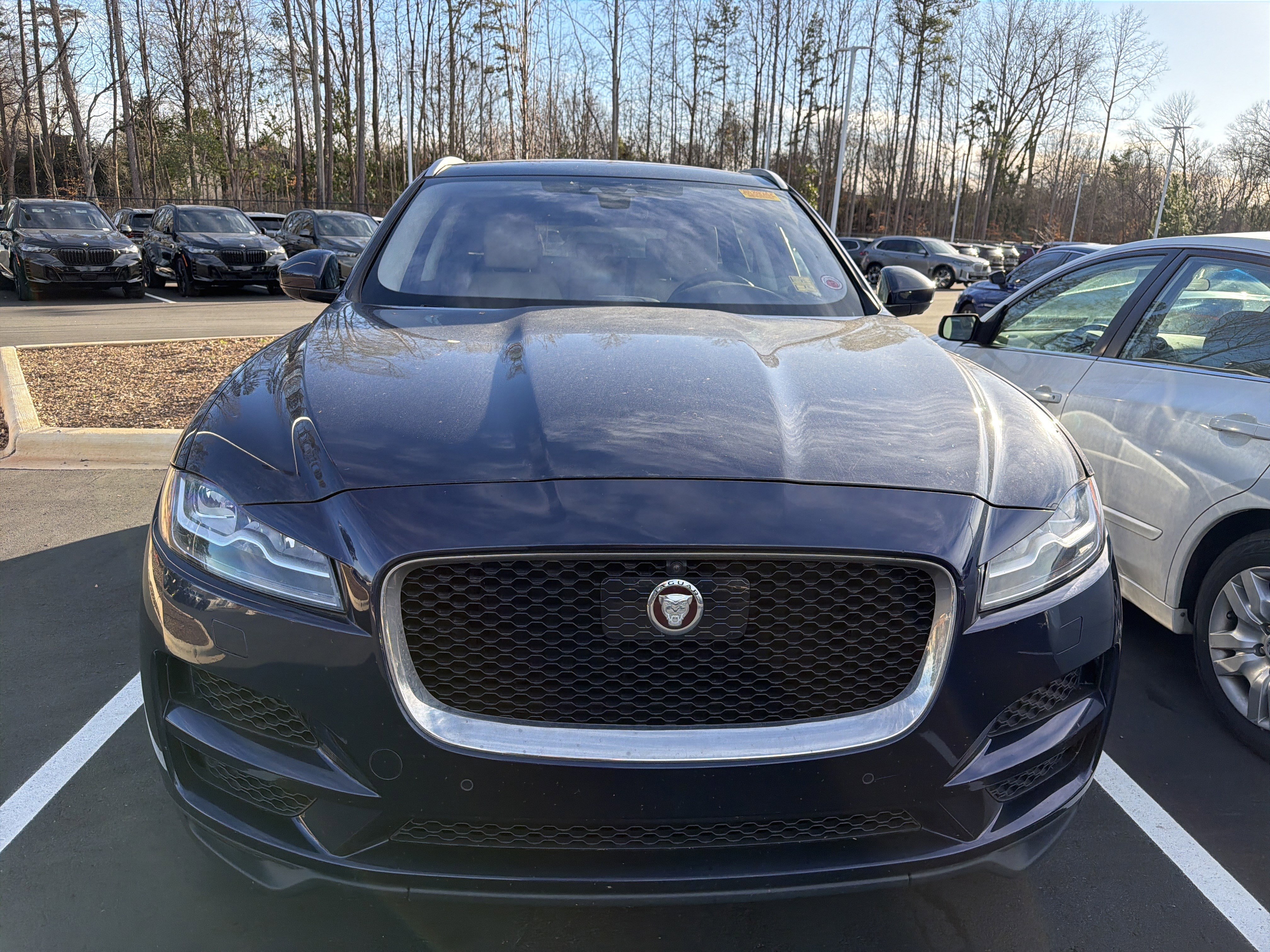 Used 2019 Jaguar F-PACE Portfolio image 3