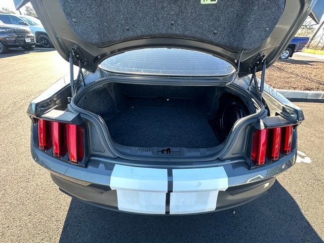 Used 2015 Ford Mustang GT Premium w/ Equipment Group 401A image 15