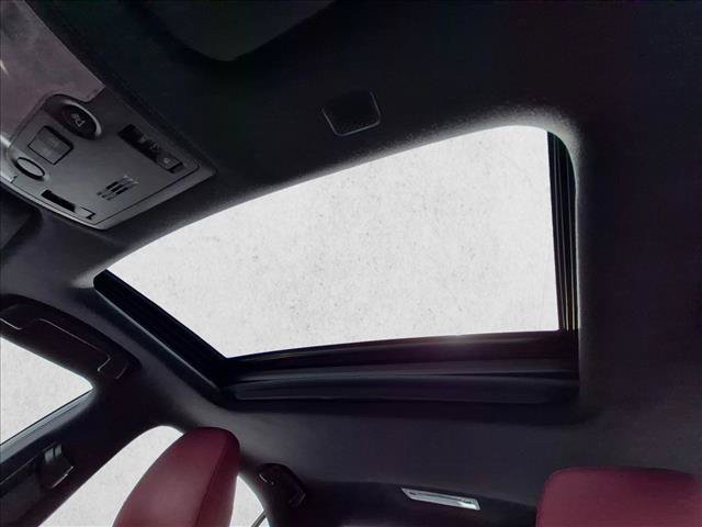 Used 2019 Lexus IS 300 F Sport w/ F Sport Package RWD image 15