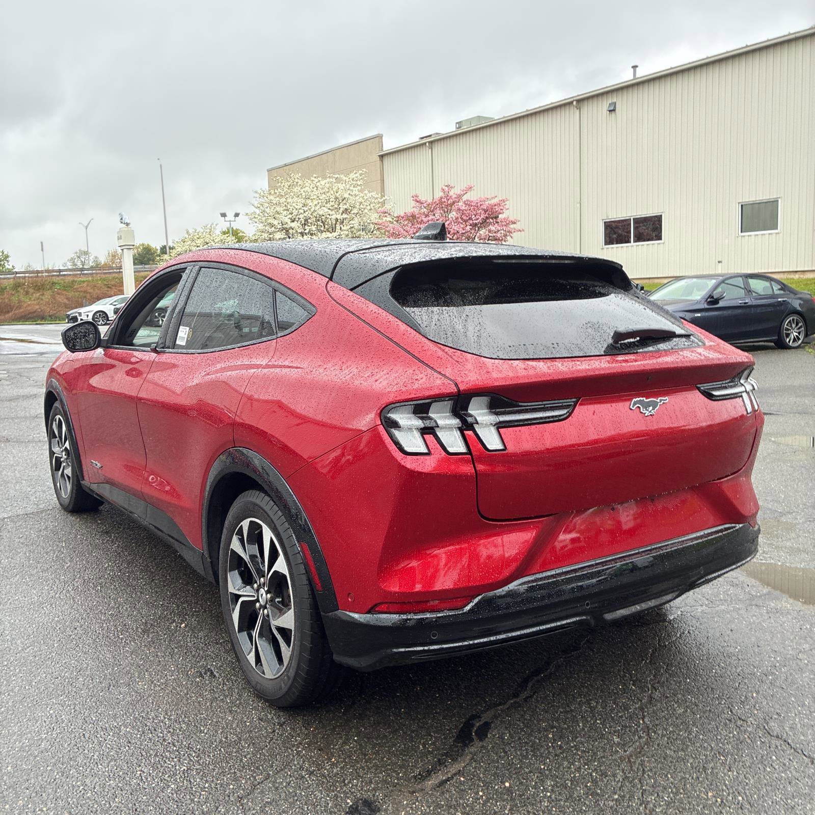 Used 2021 Ford Mustang Mach-E Premium AWD/4WD image 6