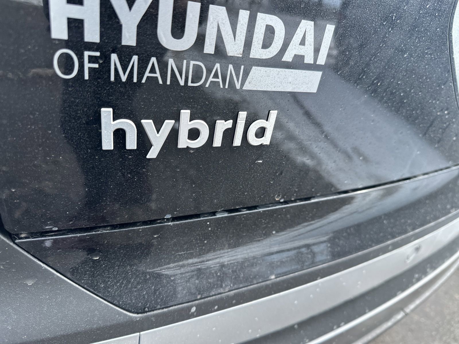 New 2026 Hyundai Palisade SEL Premium image 7